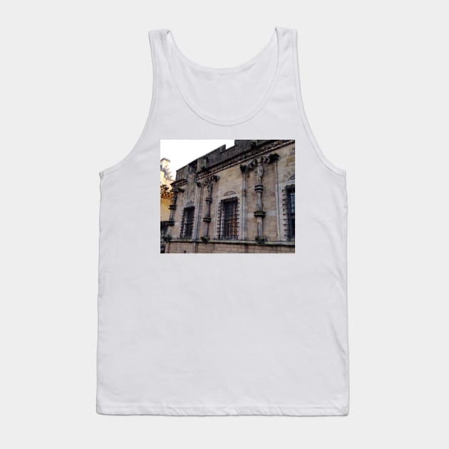 Stirling Castle Side Elevation 2 Tank Top by MagsWilliamson